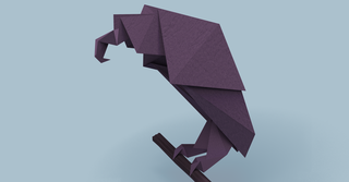 Vulture origami