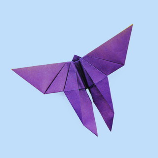 Illustration of butterfly in origami style