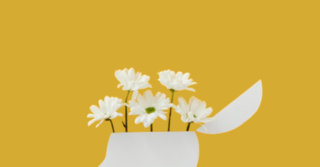 Illustration of flowers growing of a head