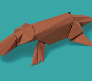 Illustration of platypus