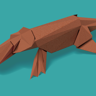 Illustration of platypus