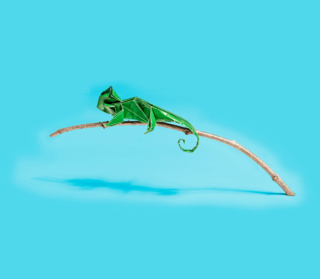 Origami chamaeleon