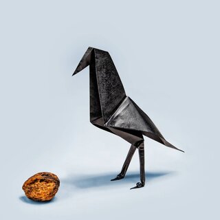 raven in origami style