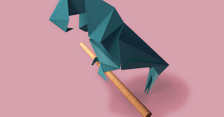 Parrot in origami style