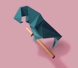 Parrot in origami style
