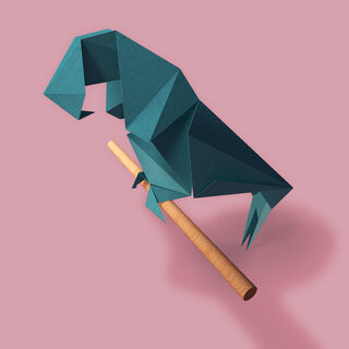 Parrot in origami style