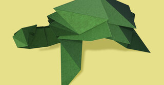 Origami Turtle