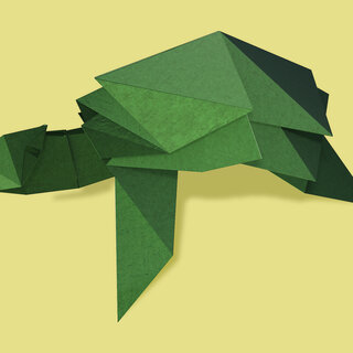 Origami Turtle