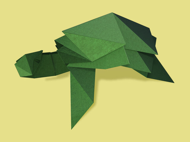 Origami Turtle