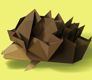 Illustration of hedgehog