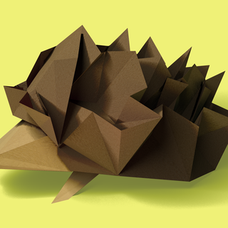 Illustration of hedgehog