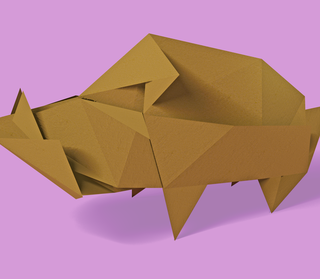 Wild boar image for blog about customer self service