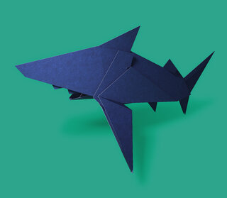 image of a shark in origami style
