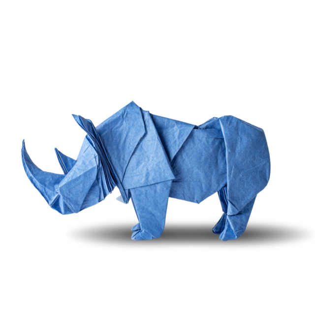 Hippo in origami style