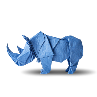 Hippo in origami style