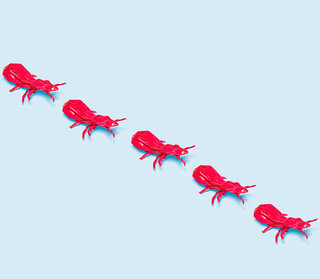 Origami einer Ameisenstrasse