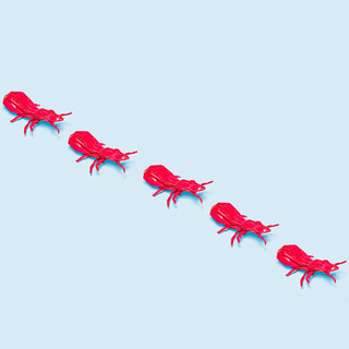 Origami einer Ameisenstrasse