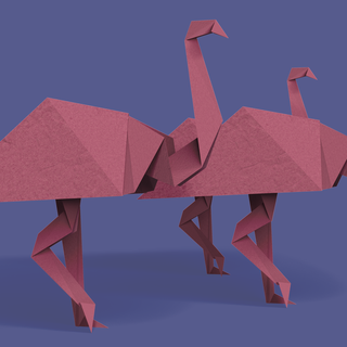 Illustration of flamingo