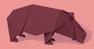 Illustration of hippo