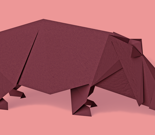 Illustration of hippo