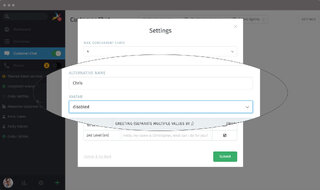 Screenshot Zammad chat settings